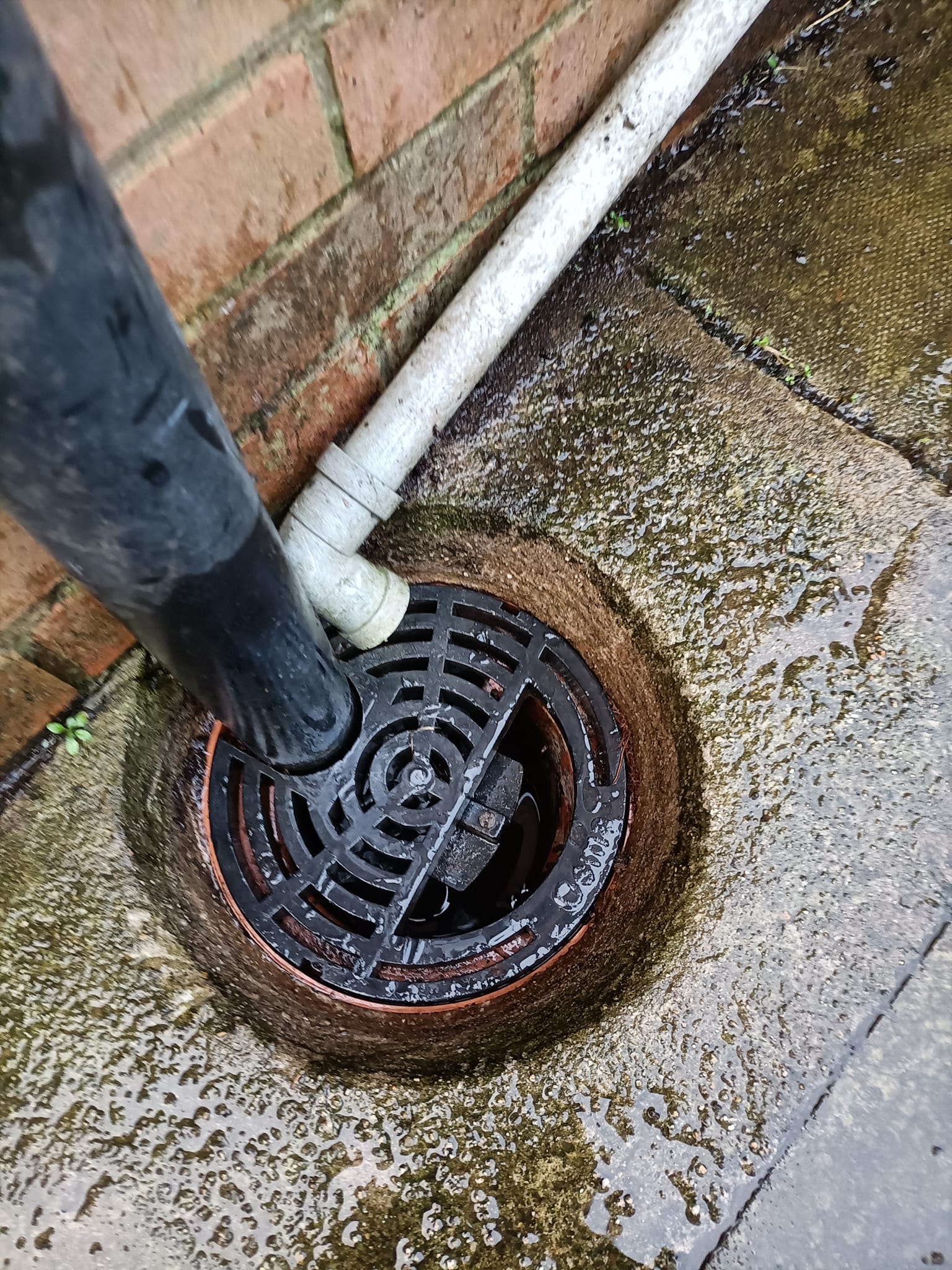 drain unblocking in north down