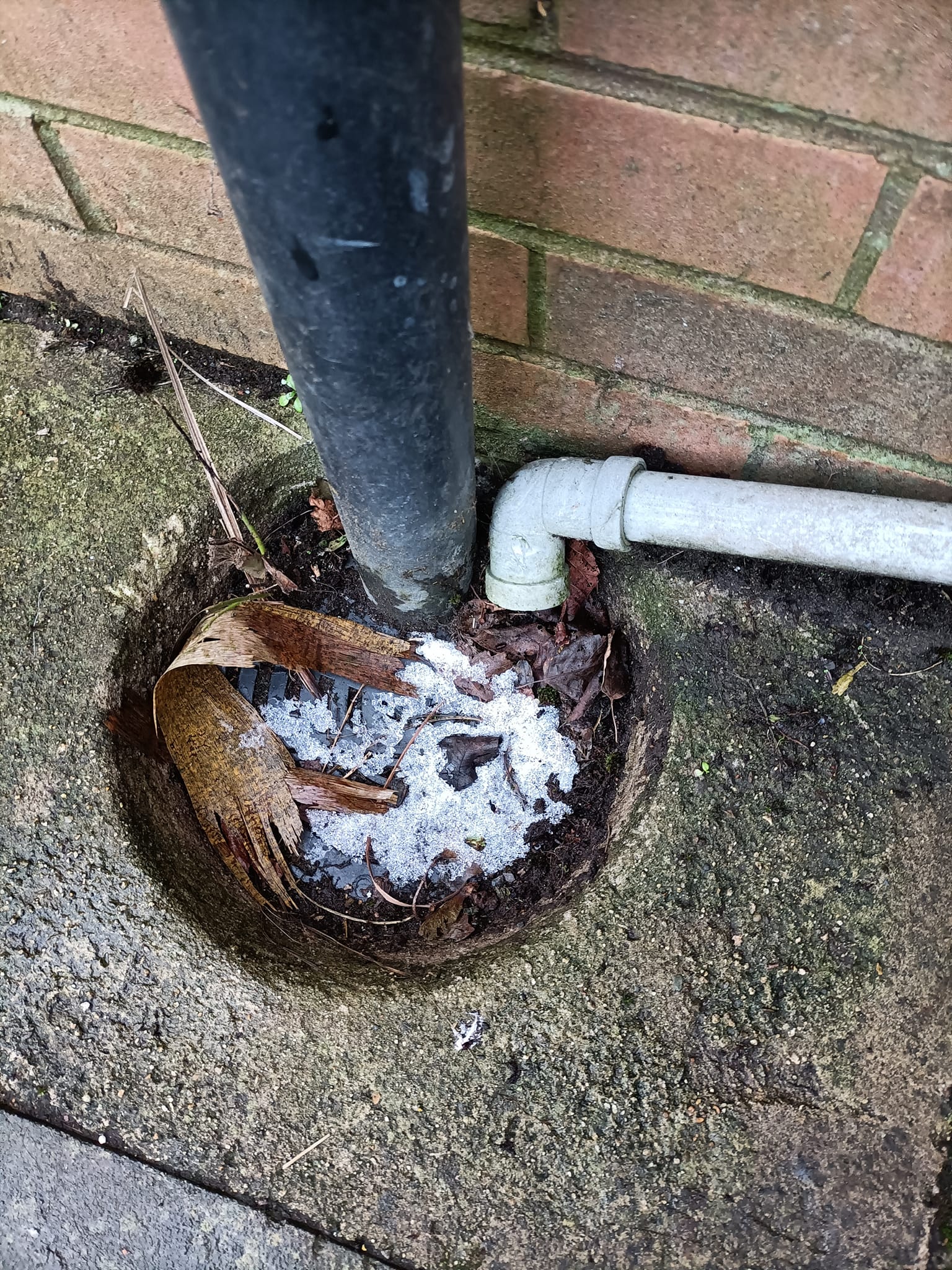 drain unblocking in north down