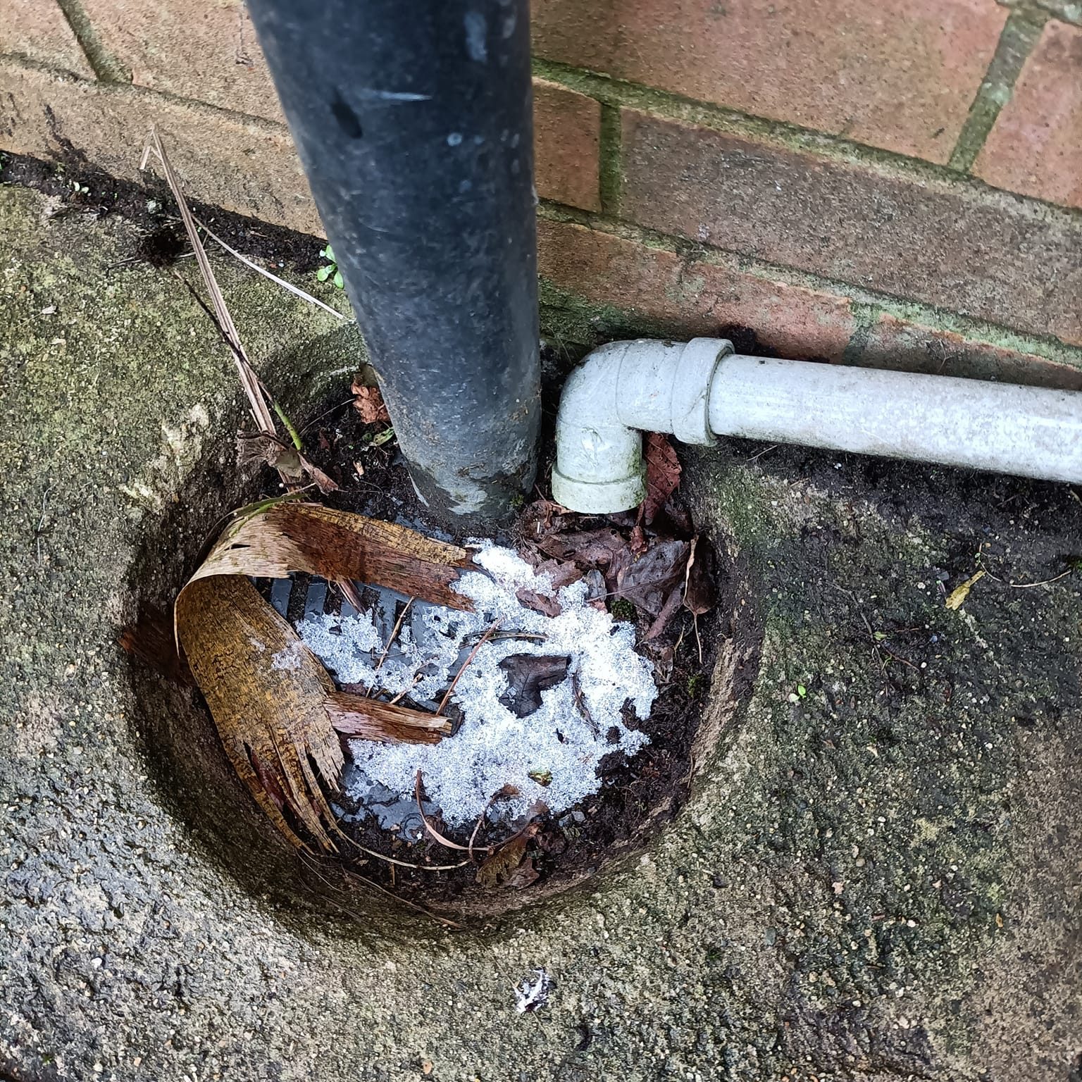 drain unblocking in north down